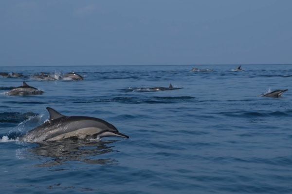 WhatsApp Image 2025-09-08 at 10.12.56